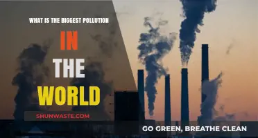 The Deadliest Pollution: A Global Crisis