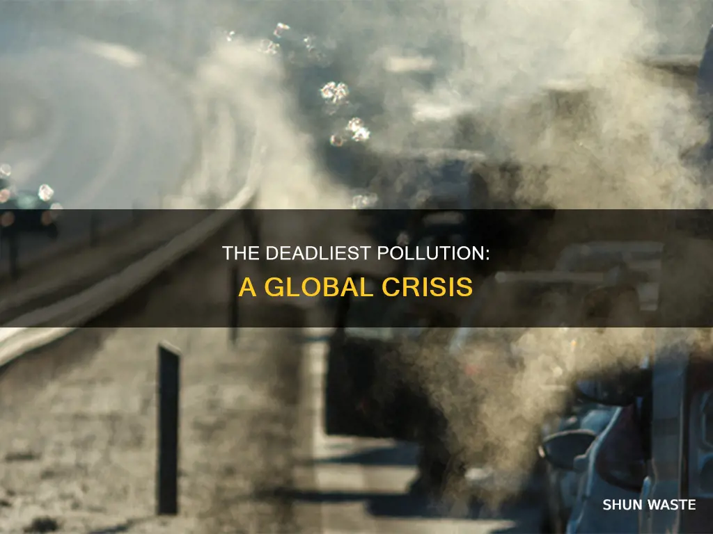 what is the biggest pollution in the world