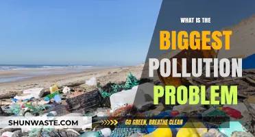 The World's Biggest Pollution Problem: A Global Crisis