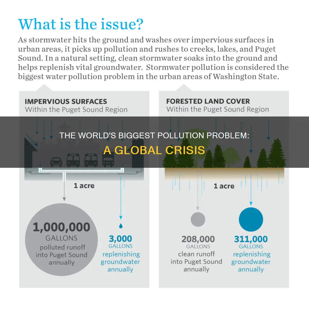 what is the biggest pollution problem