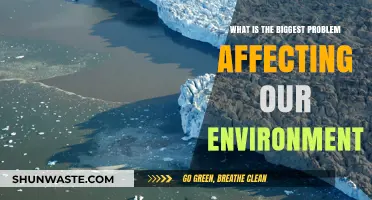 Climate Crisis: The Biggest Problem Threatening Our Environment's Future