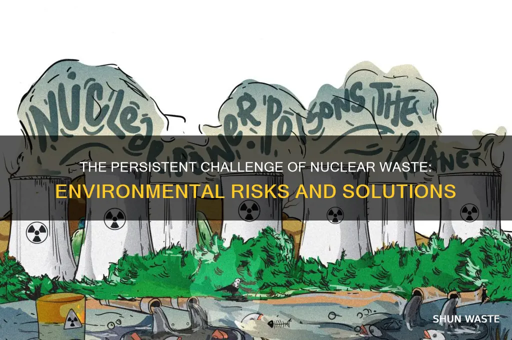 what is the biggest problem with nuclear waste