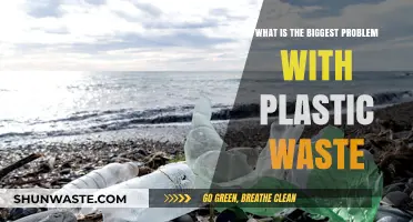 Plastic Waste Crisis: The Devastating Impact on Our Planet and Solutions