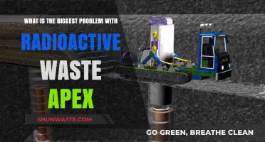 Radioactive Waste's Apex Challenge: Long-Term Storage and Environmental Risks