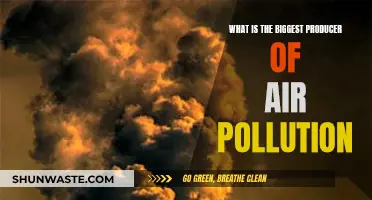 Who's the Culprit? The Main Source of Air Pollution