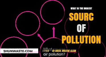 Human Activities: The Main Source of Pollution
