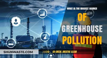 Greenhouse Pollution: The Main Culprit Revealed