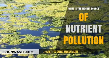 Nutrient Pollution: Agriculture's Impact on Our Waters