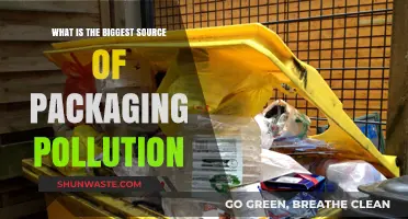 The Dark Side of Packaging: Pollution's Main Culprit