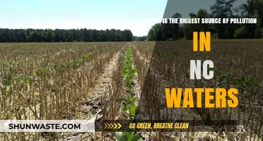 North Carolina's Water Pollution: The Main Culprit Revealed