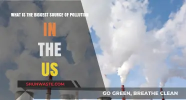 US Pollution: The Main Culprit Revealed