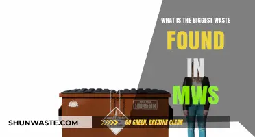 Unveiling the Largest Waste Discovered in MWS: A Shocking Revelation