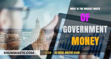 Taxpayer Dollars Down the Drain: Government Spending Gone Wrong