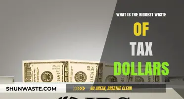 Tax Dollars Down the Drain: America's Most Wasteful Spending