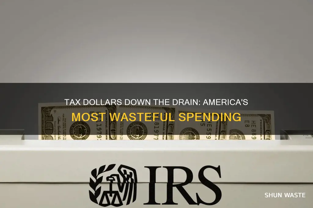 what is the biggest waste of tax dollars