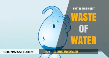 The Shocking Truth: Biggest Water Wasters in Daily Life