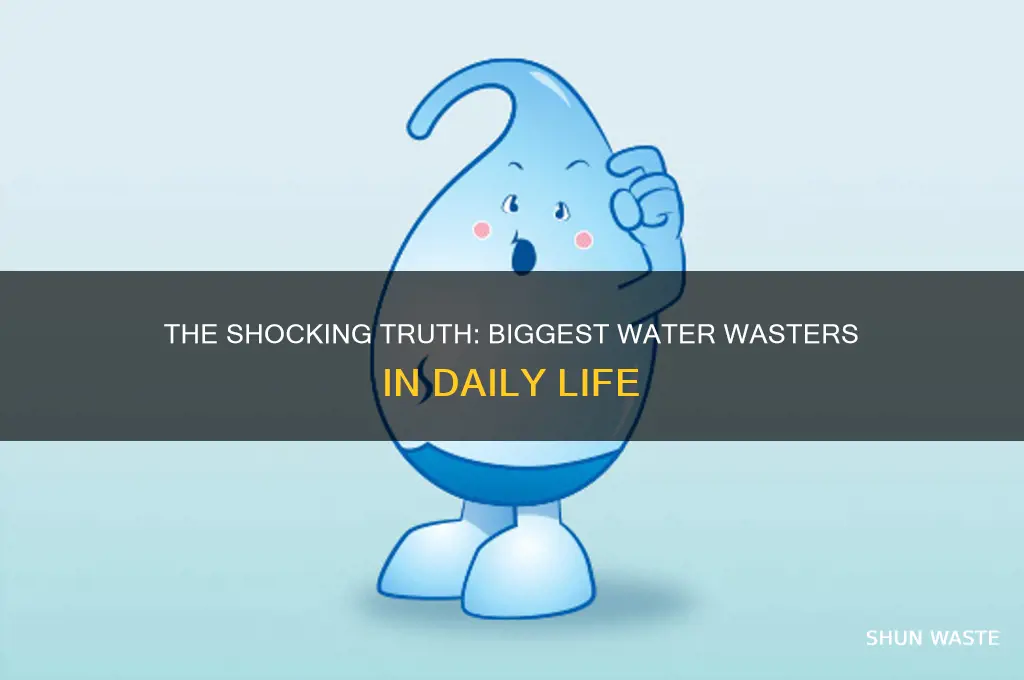 what is the biggest waste of water