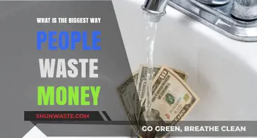 Avoid These Costly Habits: The Biggest Money Wasters Revealed