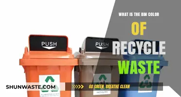 Understanding the Correct Bin Color for Recycling Waste Materials