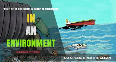 Nature's Cleanup: How Biology Restores Polluted Environments