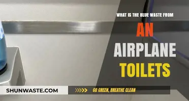 Unveiling the Mystery: What is Blue Airplane Toilet Waste?