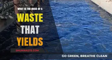 Understanding BOD5: Measuring Waste Yield and Environmental Impact