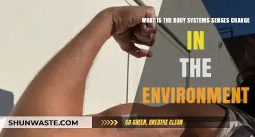 How Body Systems Detect and Respond to Environmental Changes
