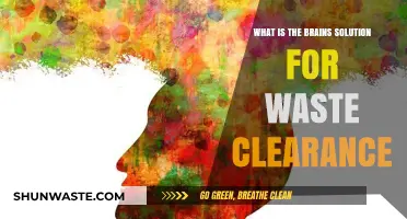 How the Brain Efficiently Clears Waste: Unveiling Its Unique Solution