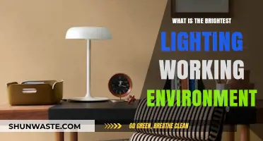 Brightest Lighting for Optimal Productivity: Creating the Ideal Work Environment