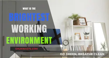 Brightest Workspaces: Illuminating the Ideal Environment for Productivity
