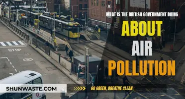 UK Government's Air Pollution Mitigation Plans: An Overview
