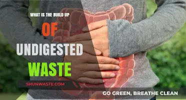 Understanding the Buildup of Undigested Waste: Causes and Solutions