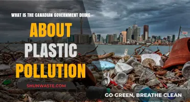 Canada's Action Plan for Plastic Pollution