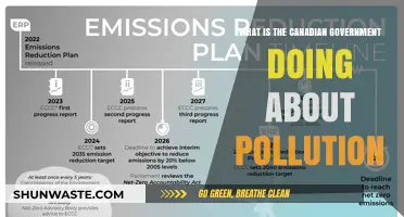 Canada's Anti-Pollution Efforts: Government Initiatives and Impact