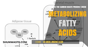 Metabolizing Fatty Acids: Understanding Carbon Waste Product Formation