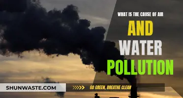 Unveiling the Sources: Understanding Air and Water Pollution Causes