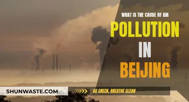 The Haze Over Beijing: Uncovering the Causes of Air Pollution