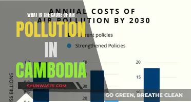 Unveiling Cambodia's Air Pollution Crisis: Sources and Solutions