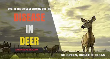 Unraveling Chronic Wasting Disease: Causes in Deer Populations Explained
