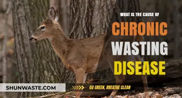 Unraveling Chronic Wasting Disease: Causes and Transmission Explained