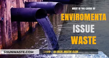 Unraveling the Root Causes of Environmental Waste Crisis