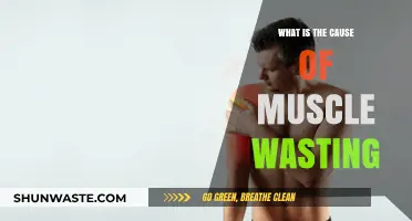 Understanding Muscle Wasting: Causes, Factors, and Prevention Strategies Explained