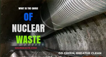 Understanding the Origins and Causes of Nuclear Waste Generation