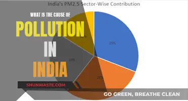 Unveiling India's Pollution Crisis: Causes and Solutions