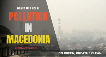 Unveiling Macedonia's Pollution: Sources and Solutions