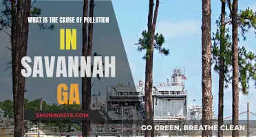 Unveiling Savannah's Pollution: Sources and Solutions