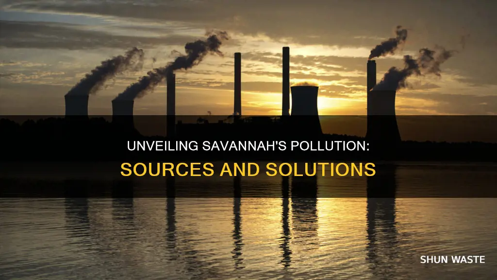 what is the cause of pollution in savannah ga