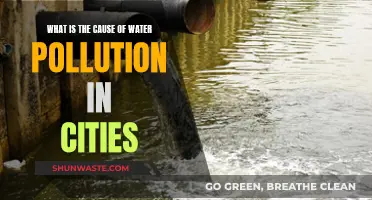 Unveiling Urban Water Woes: Causes and Solutions for City Pollution