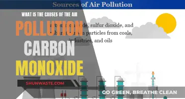 Unveiling the Hidden Culprits: Understanding Carbon Monoxide's Role in Air Pollution