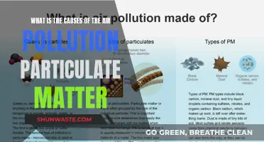 Unveiling the Sources: Understanding Particulate Matter's Air Pollution Causes